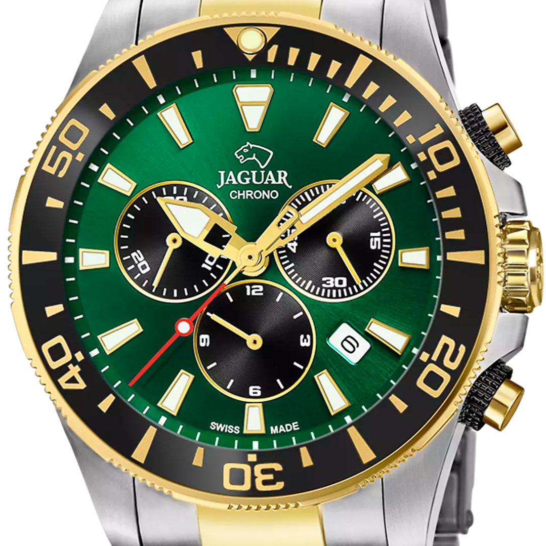 JAGUAR EXECUTIVE PIONNIER IN Grün Bicolor